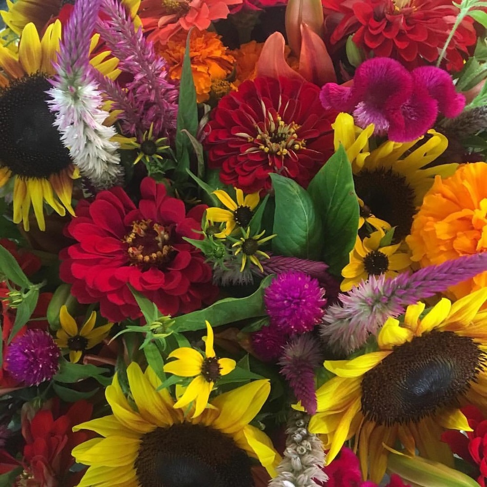 Meet your Posher, Betty